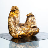 Metaphor of Woman