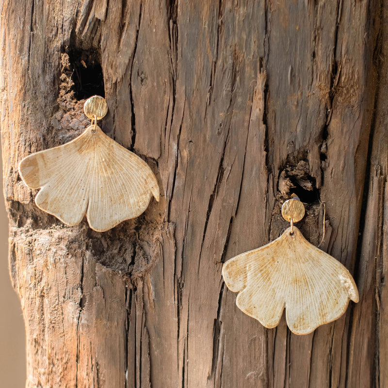 Ginkgo Leaf Arena